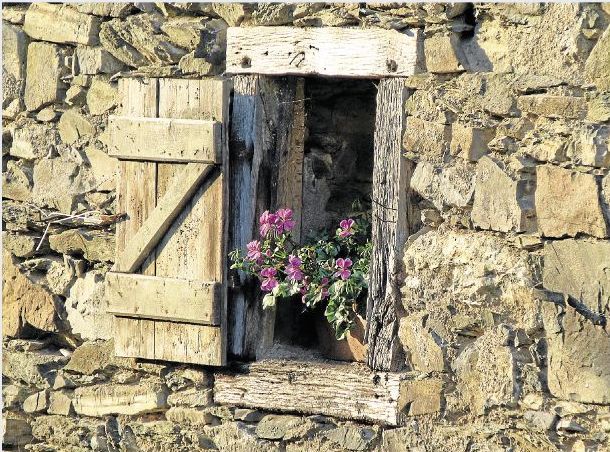 Dieses schön geschmückte Fenster des längst verfallenen Steinhauses, von dem nur noch die Außenmauern stehen, entdeckte unser Leser Bernd Felten aus Holzheim. Wahrscheinlich handelte es sich um den zur Burg Ardeck gehörenden Bauernhof, die Domäne.